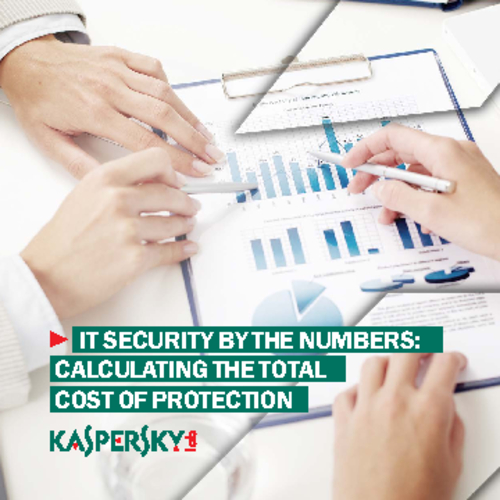 IT Security by the Numbers: Calculating the Total Cost of Protection