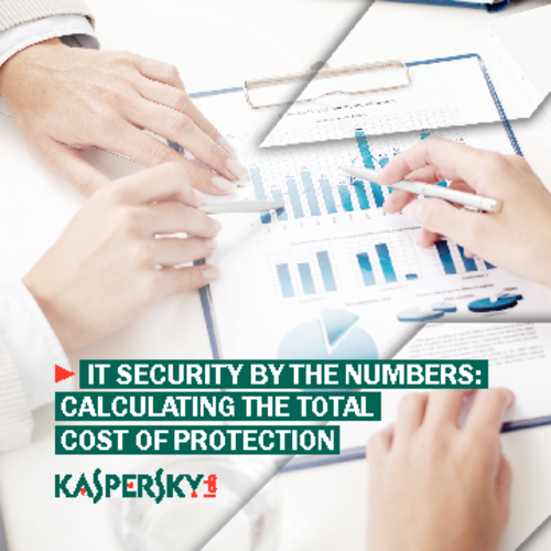 IT Security by the Numbers:  Calculating the Total Cost of Protection