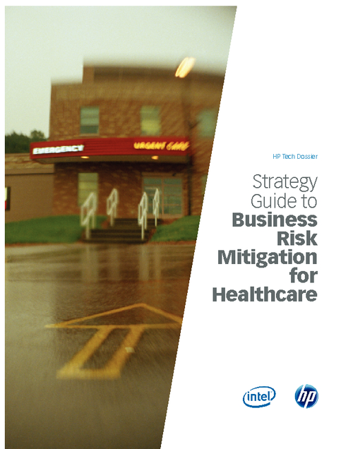 Strategy Guide to Business Risk Mitigation for Healthcare