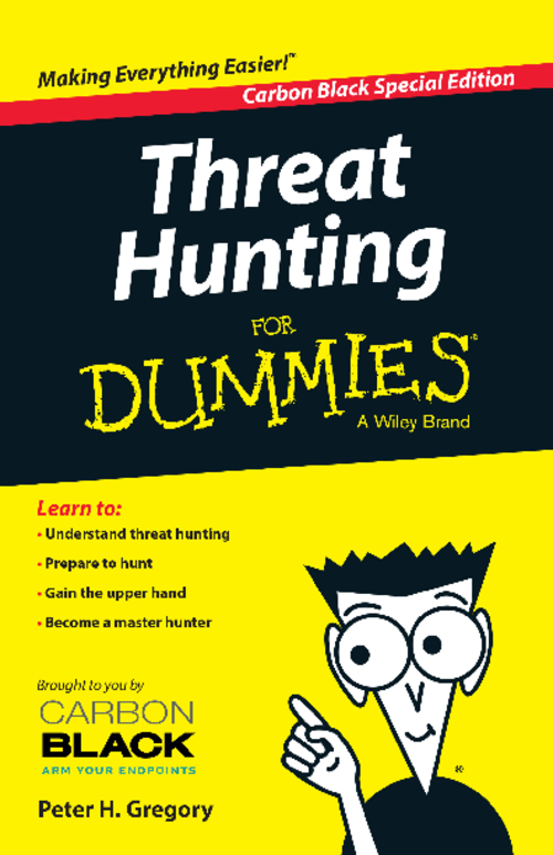 security for dummies pdf download