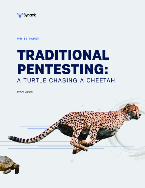 Traditional Pentesting: A Turtle Chasing a Cheetah