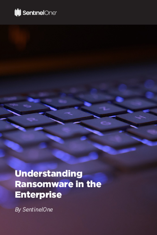 Understanding Ransomware in the Enterprise