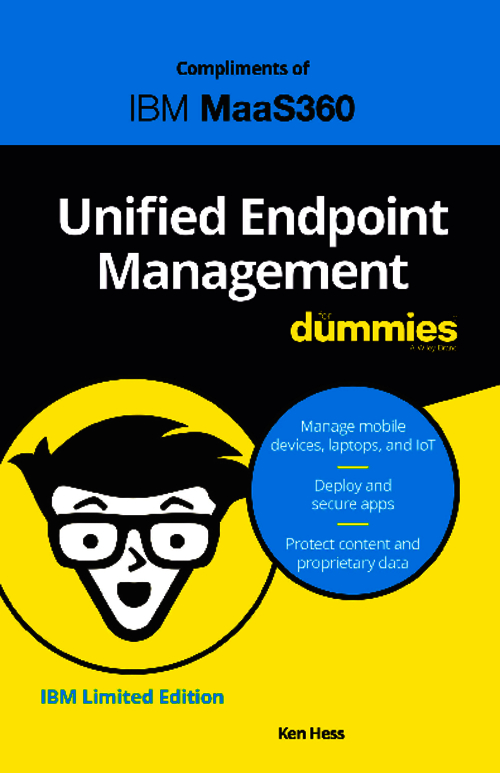 UEM: The Ultimate Guide For Dummies