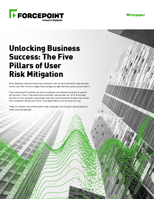 Unlocking Business Success: The Five Pillars Of User Risk Mitigation