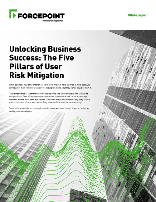 Unlocking Business Success: The Five Pillars of User Risk Mitigation