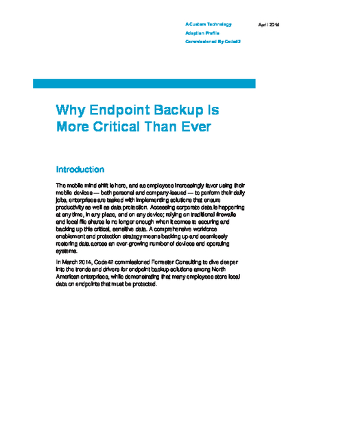 Why Endpoint Backup is More Critical Than Ever